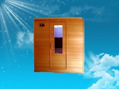供应家用汗蒸房