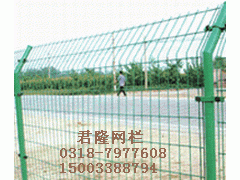 君隆护栏网,体育场围网,苗床网,勾花网,地暖网片 君隆护栏网,体育场围网,苗床网,勾花网,地暖网片