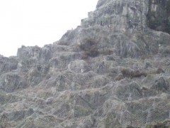 供应边坡防护网 专业 品质保证