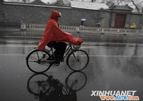 雨雪润京城(组图)