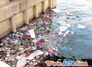 海河惊现十多米长