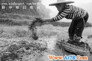 图文:广西部分旱区喜降春雨