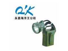 便携式强光防爆应急工作灯