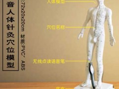 智能语音人体穴位模型 智能语音人体穴位模型