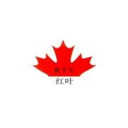 深圳红叶硅胶厂