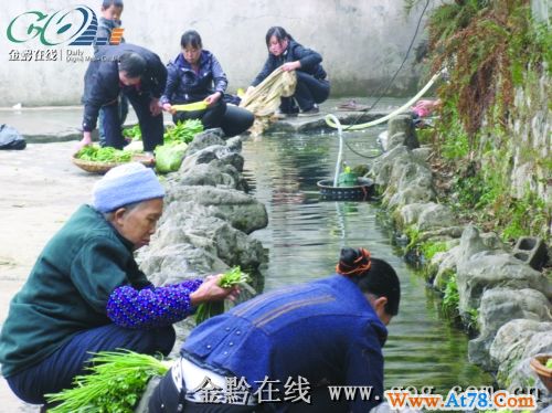 大旱之年 凤冈百年老井又成市民取水地