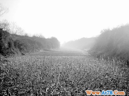 曹操喜看邺地稻麦千重浪 护佑来者克平天下