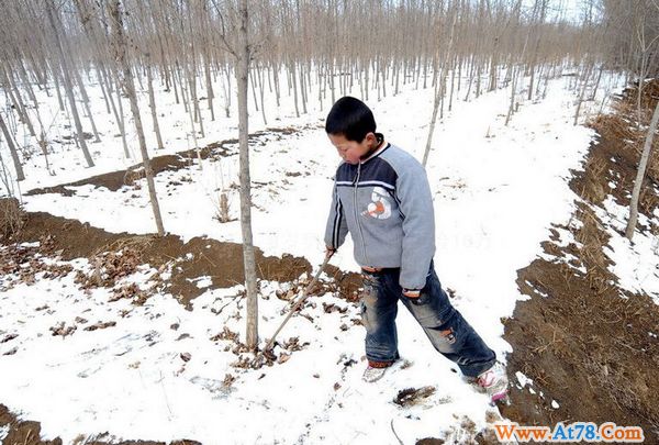 8岁顽童垃圾堆捡到10万元烧着玩 打工父亲忙报案(高清组图)