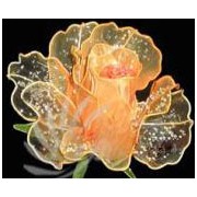 北京爱迪时尚影像公司