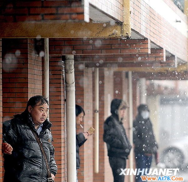 “春分”前夕雪纷纷