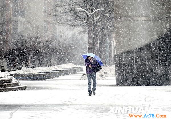 “春分”前夕雪纷纷