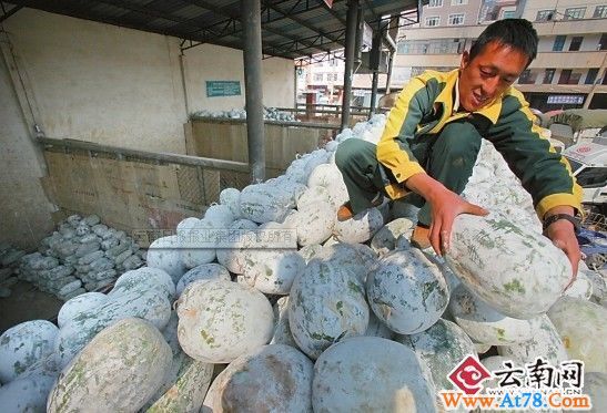 250吨外省蔬菜运入昆明 平稳市场蔬菜价格(图)