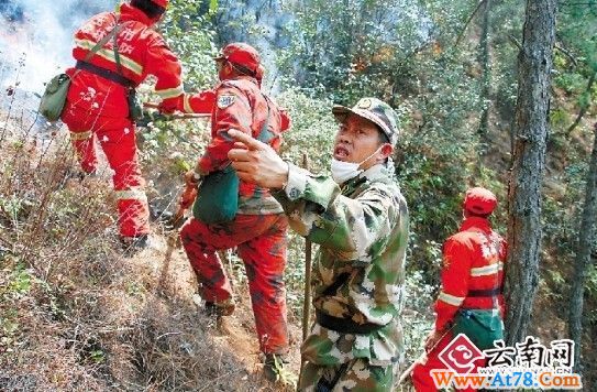 玉溪连发两起山火追踪 山火烧了两天终于扑灭(组图)