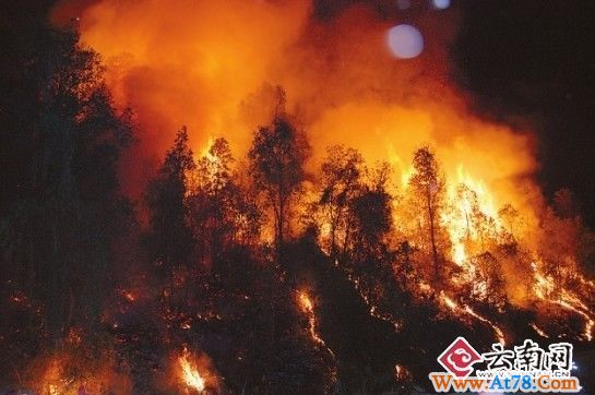玉溪连发两起山火追踪 山火烧了两天终于扑灭(组图)