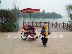 【最新款豪华型】好神奇专利产品——猪八戒机器人拉车 小本创富