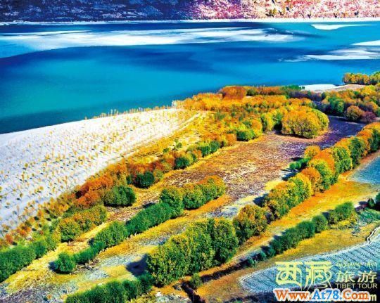 绝美温润林芝当松石绿遇上珊瑚红(组图)