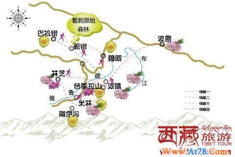 绝美温润林芝当松石绿遇上珊瑚红(组图)