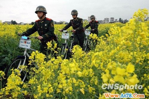 图：花海“骑兵”护春游