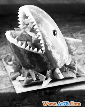 狐獴的生存智慧(图)