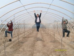 最新型大棚支架机、安阳绿源星光科技有限公司 最新型大棚支架机、安阳绿源星光科技有限公司