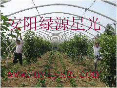 最新型蔬菜大棚支架机、安阳绿源星光科技有限公司 最新型蔬菜大棚支架机、安阳绿源星光科技有限公司