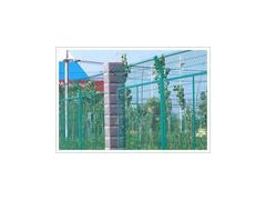 长期供应护栏网、钢板网