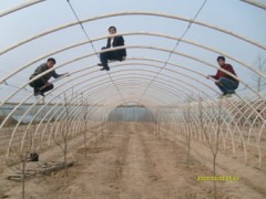 温室大棚支架机、安阳绿源星光科技有限公司 温室大棚支架机、安阳绿源星光科技有限公司