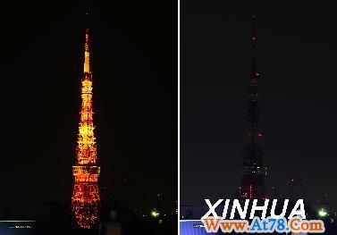 世界各地举行“地球一小时”活动（4）(图)