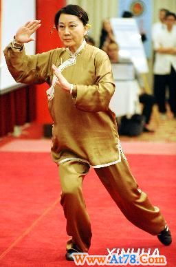 #两岸武术精英切磋武艺（5）(图)
