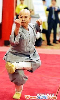 #两岸武术精英切磋武艺（1）(图)