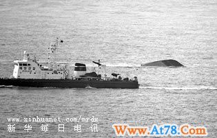 韩处置军舰炸沉事件,相当谨慎