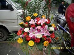 闵行区梅陇镇华东理工大学老沪闵路凌云路鲜花店花束花篮