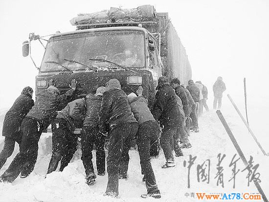 新疆雪灾司机经历生死13天 躲羊肚子下取暖(组图)