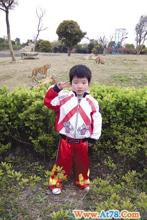 女童虎口走钢丝 动物园上演惊险一幕引质疑