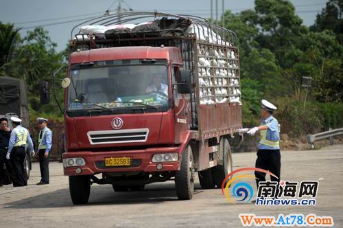 海南东线高速违章现象多 交警加强巡逻(组图)
