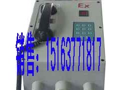 供应HWB-1防爆电话 供应HWB-1防爆电话