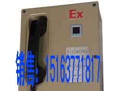 供应 HYB-1型防爆电话(隔爆兼本安型IIC级) 供应 HYB-1型防爆电话(隔爆兼本安型IIC级)