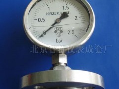 Y-100MF法兰隔膜压力表