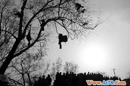 河南伊川逃生矿工:工友横七竖八躺巷道生死不明(组图)