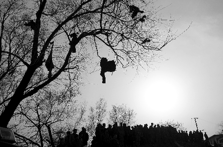 伊川矿难矿工亲历:工友横七竖八躺巷道生死不明