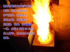 供应JGQHL-1气化炉 半气化炉 秸秆气化炉