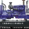世博指定专业生产出租发电机 发电机出租首选悦泰电力
