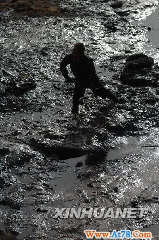 延安市洛川县污油泥泄漏污染初步得到控制(组图)