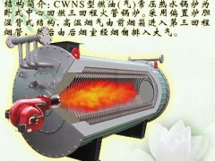 供应CWNS燃油（气）热水锅炉