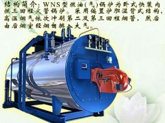 供应WNS燃油（气）蒸汽锅炉