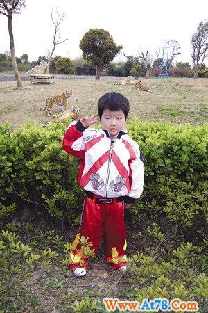 3岁女童虎园内徒手走钢丝 脚下有6只猛虎(组图)