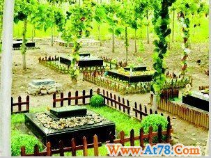 市民花3万在宠物墓园厚葬爱犬 仪式有专人主持(图)