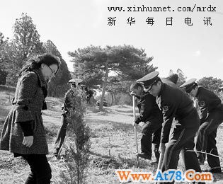 图文：低碳祭扫成风尚