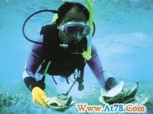 西沙群岛发现大量水下文物 面临保护难题(组图)