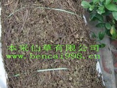 长供本采仙草苗、干仙草、仙草粉等物美价廉